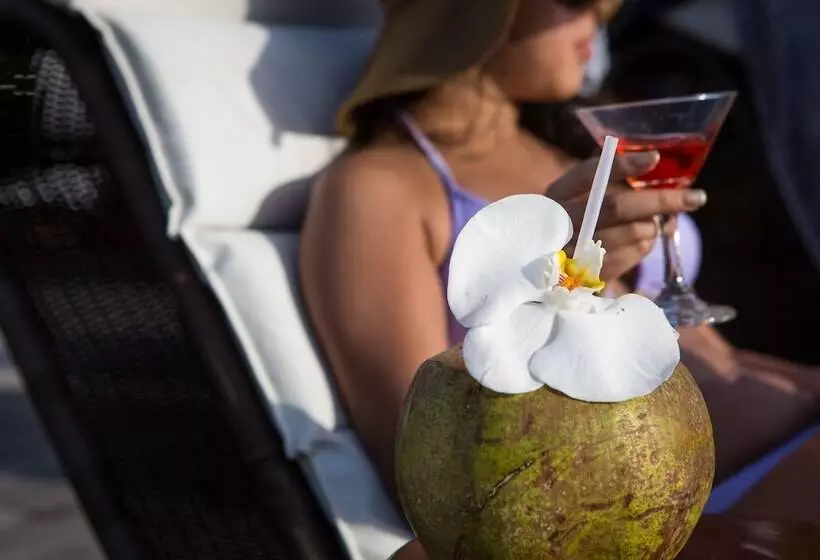 Resort Royal Torarica