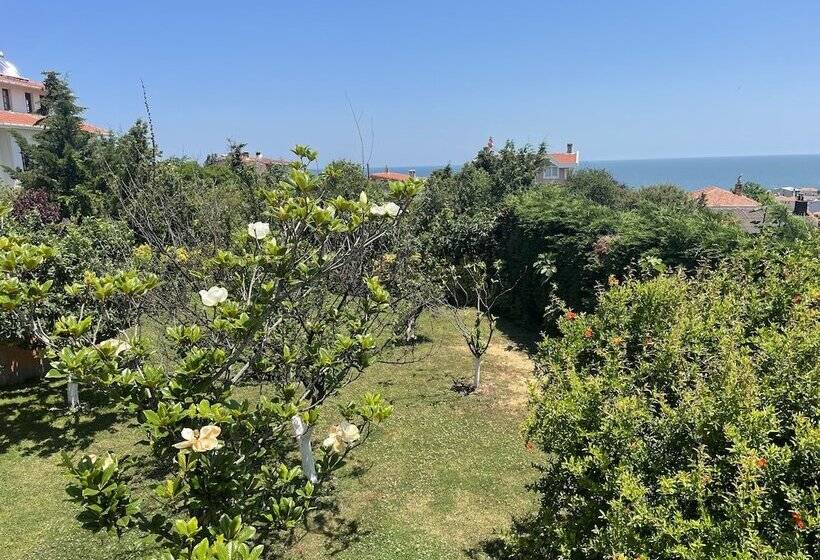 酒店 Istanbul Airport Treekos Suite