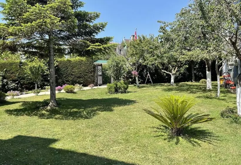 Hotelli Istanbul Airport Treekos Suite