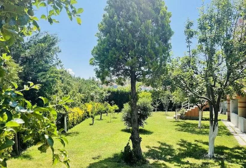 Hotelli Istanbul Airport Treekos Suite