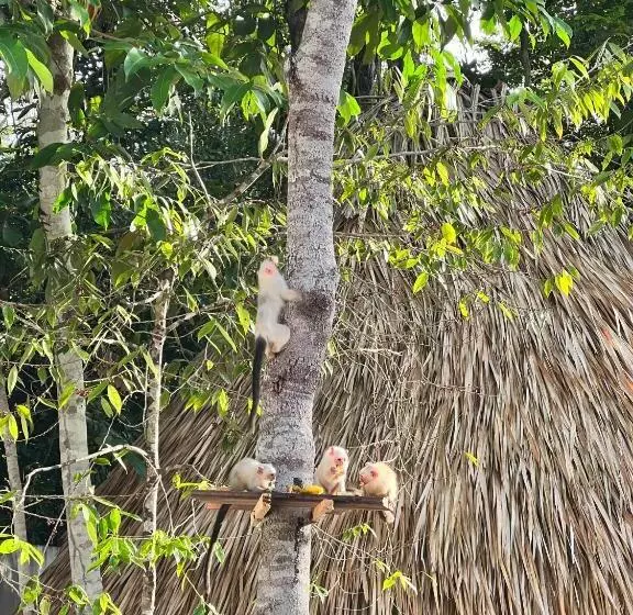 ホテル Pousada E Restaurante Sumaúma