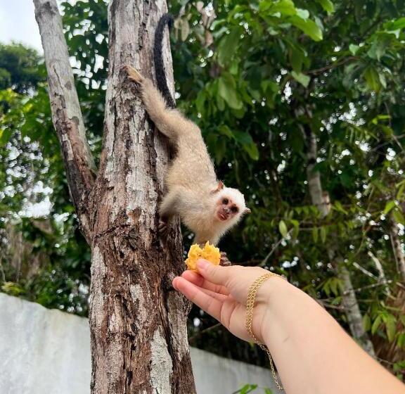 هتل Pousada E Restaurante Sumaúma