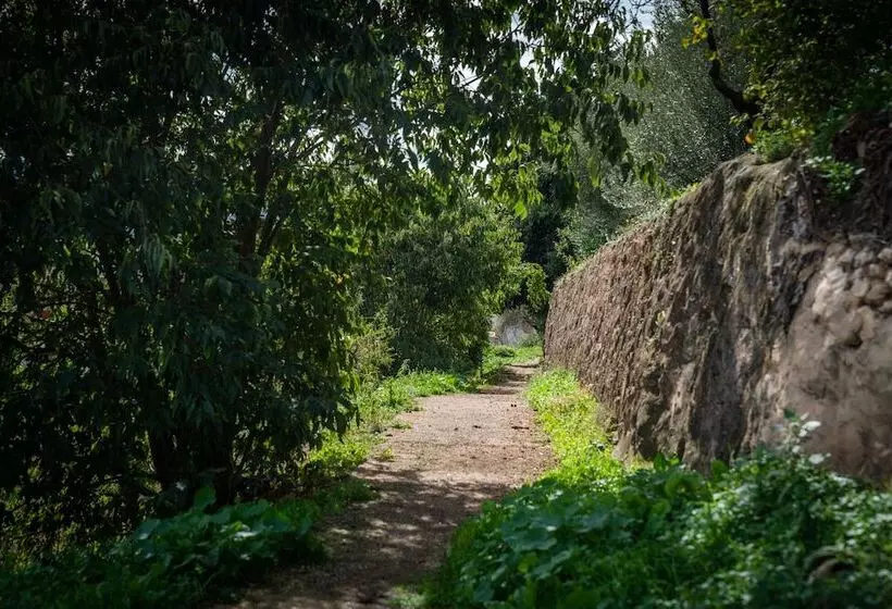 ペンション 7 Pisos Casa Rural De Pueblo