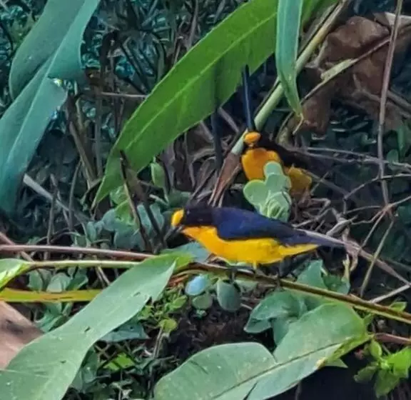 Retkeilymaja Pousada Trilha Da Serra