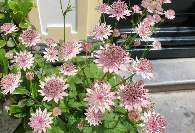 B&b Monumentaal Logeren