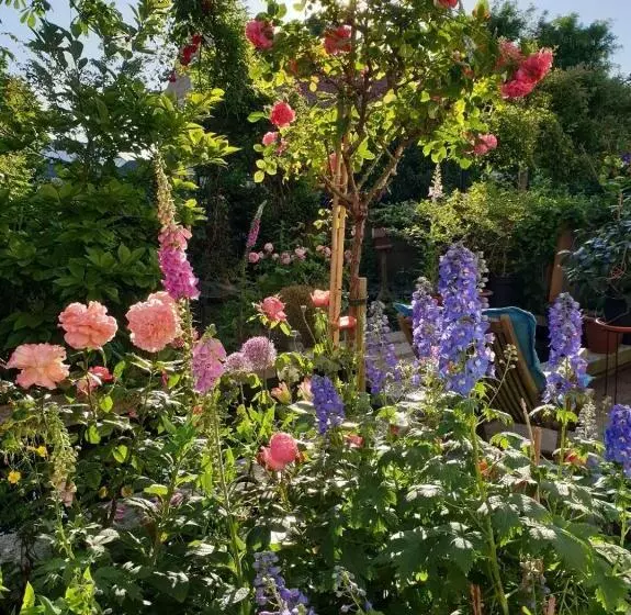 B&b Monumentaal Logeren