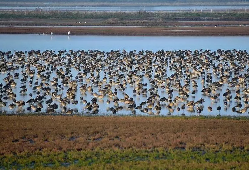 B&b Monumentaal Logeren