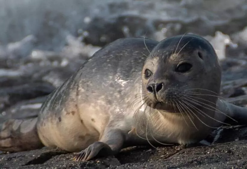 B&b Monumentaal Logeren