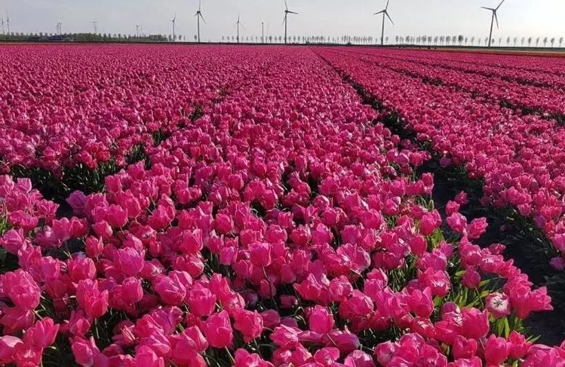 B&b Monumentaal Logeren