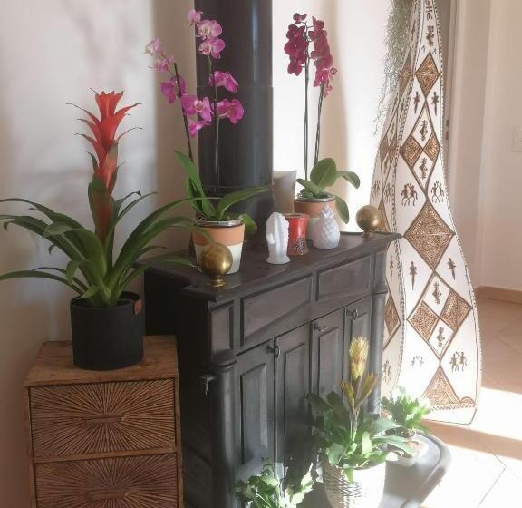 ベッドアンドブレックファースト Chez Tata