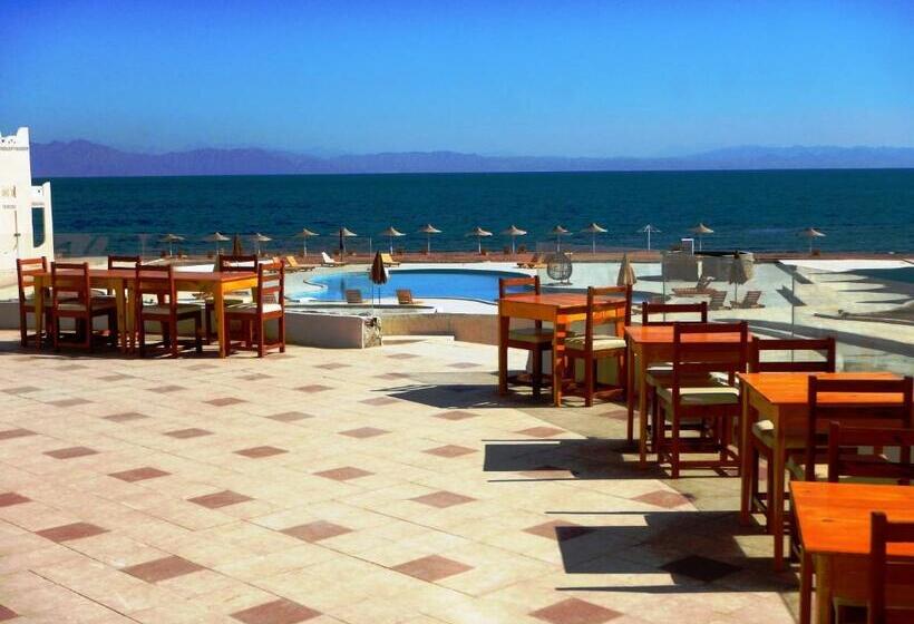 هتل Zain Dive Inn