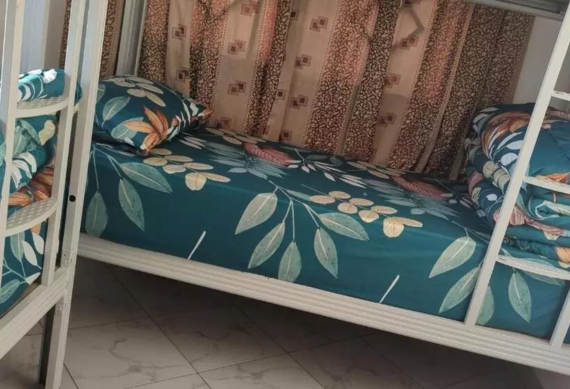 Mufasa City Hostel And Apartments