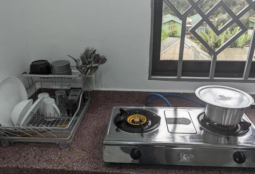 Mufasa City Hostel And Apartments