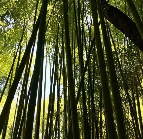 ペンション Le Moulin Du Rubeguet