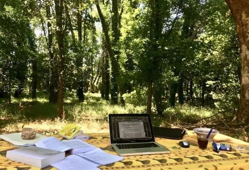 ペンション Le Moulin Du Rubeguet