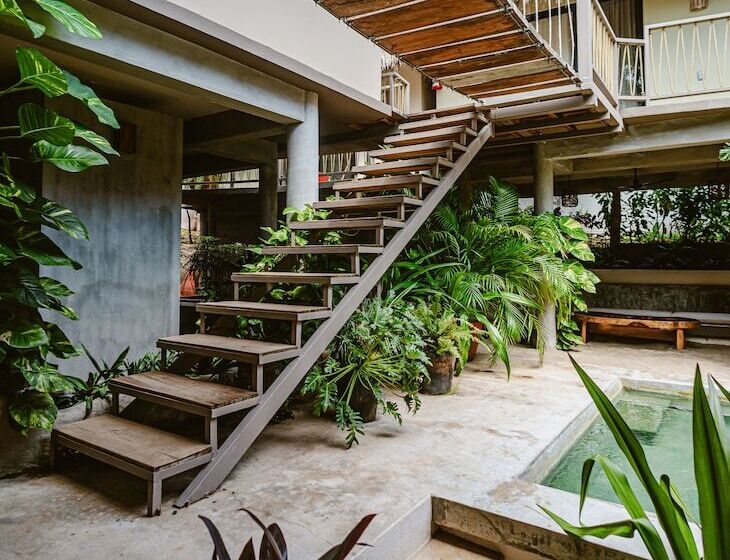 Raíz Hotel Boutique