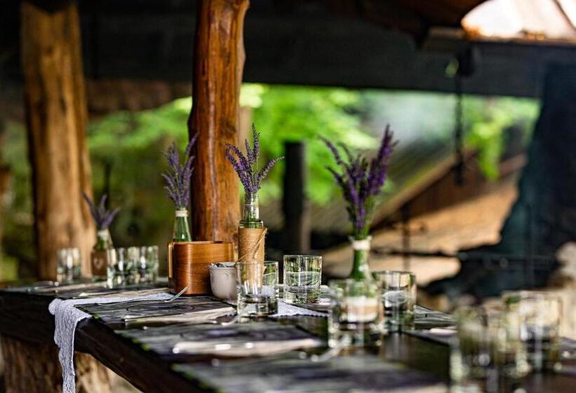 酒店 Bacówka Biały Jeleń