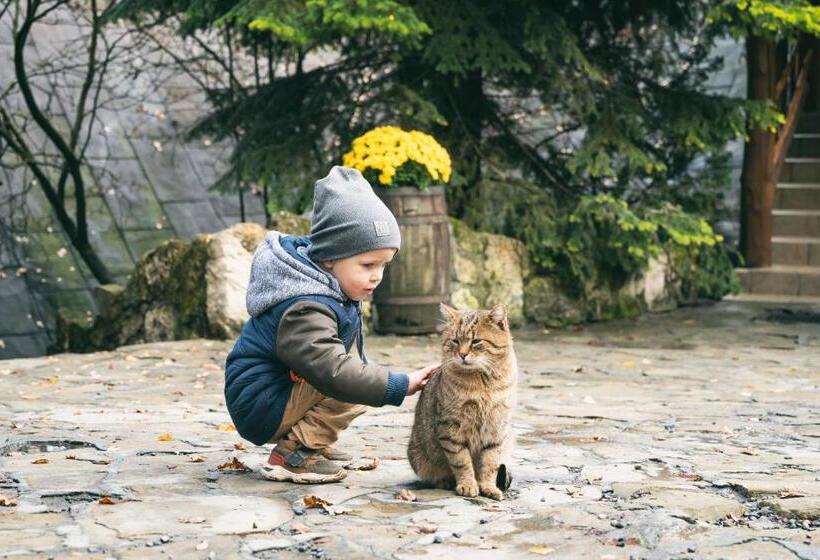 酒店 Bacówka Biały Jeleń