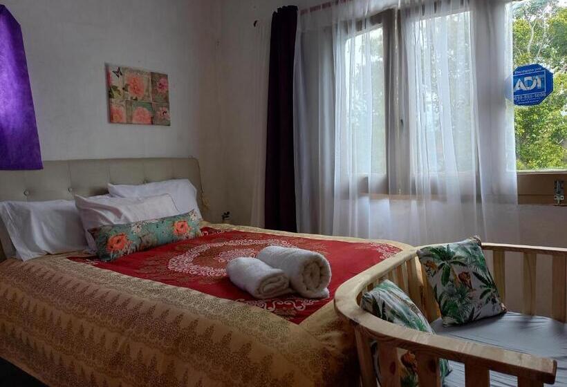 Pension Cabaña En Tigre