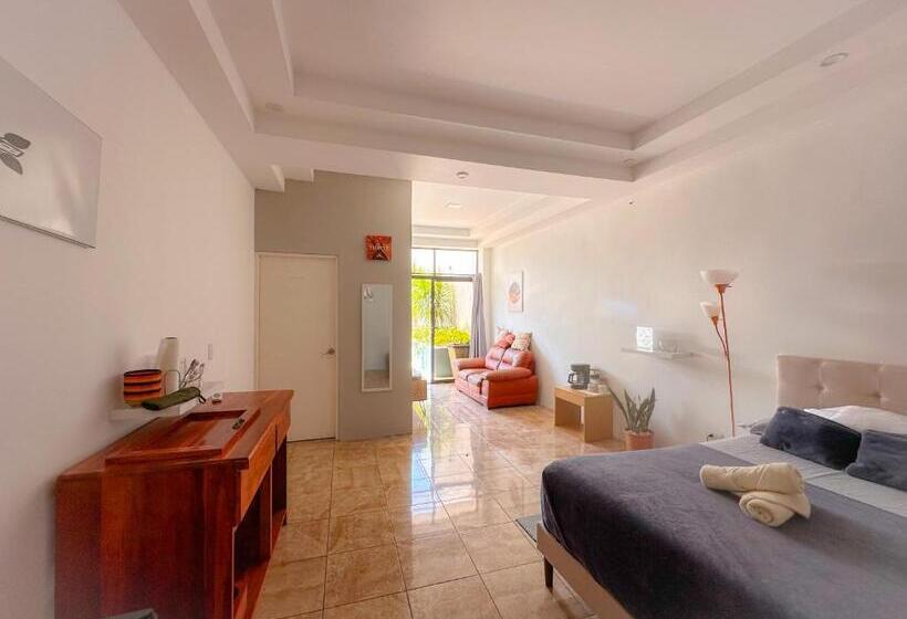 بنسيون Casa Garitas Guesthouse & Car Rental   Free Sjo Airport Shuttle