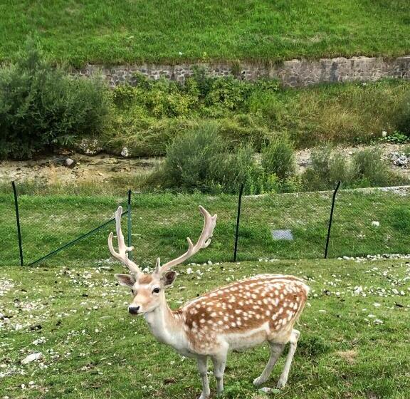 פנסיון Mountain House