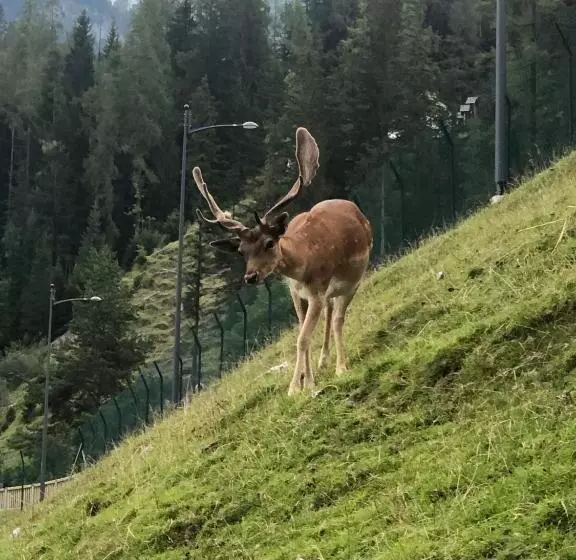 Majatalo Mountain House