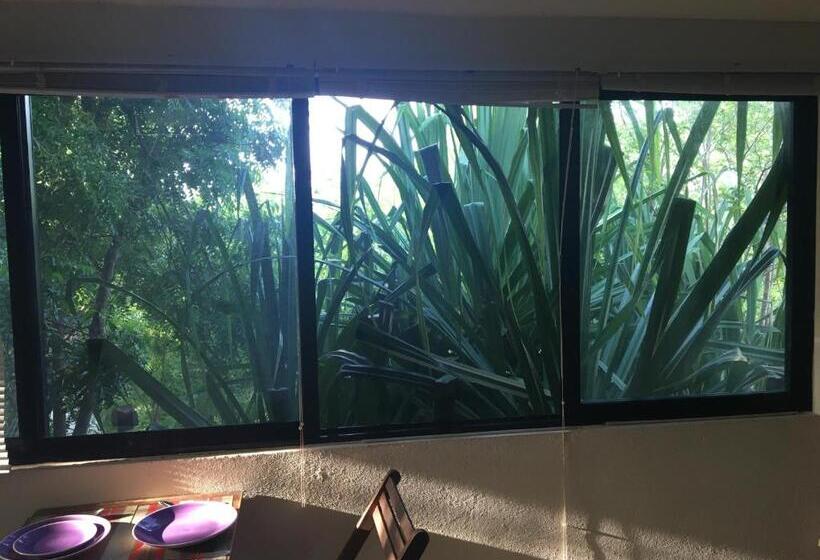 بنسيون Room In House   Double Bed, Queen Size, Small Kitchen, Terrace, Wi Fi  Air Condition Quiet