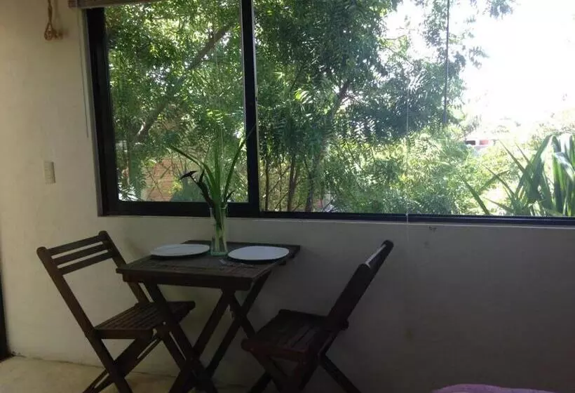 Majatalo Room In House   Double Bed, Queen Size, Small Kitchen, Terrace, Wi Fi  Air Condition Quiet