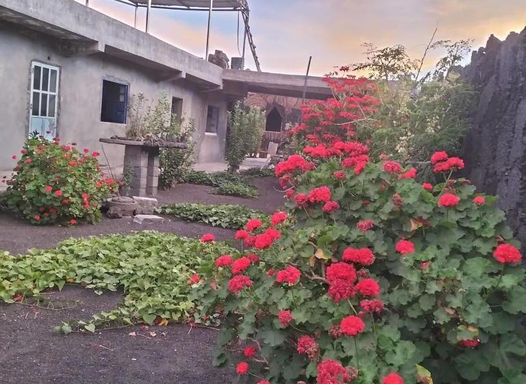 تختخواب و صبحانه Pensão Repouso Alegre Turismo E Aventura