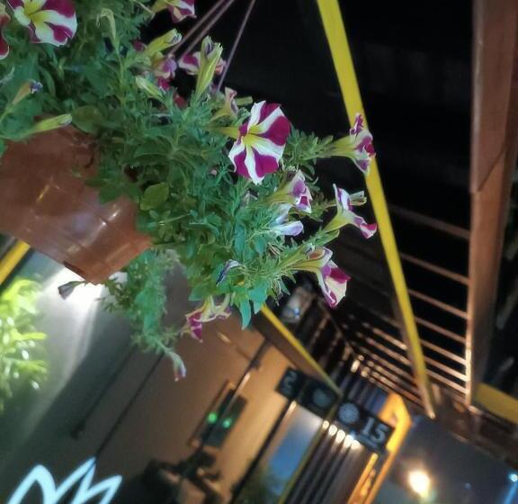 Hotel Flores De Holambra