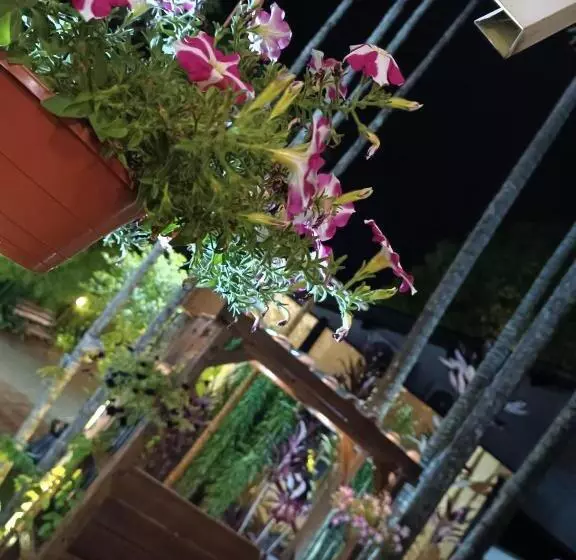 ホテル Flores De Holambra