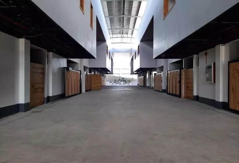 ホテル M Liloan Pension House