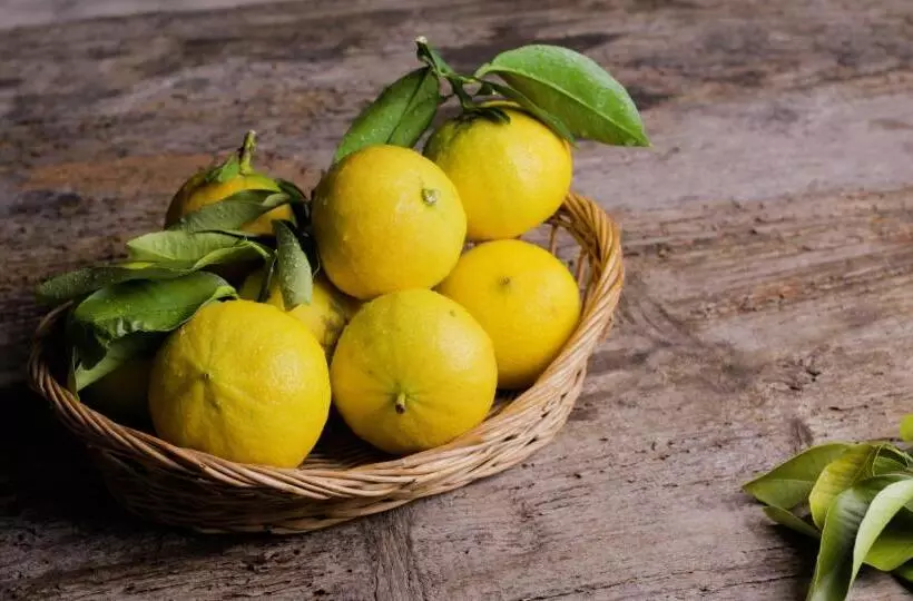 My House Urban Luxury B&b