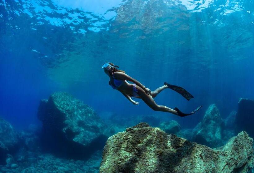 My House Urban Luxury B&b