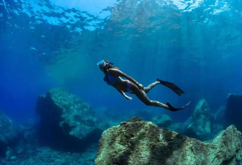 My House Urban Luxury B&b