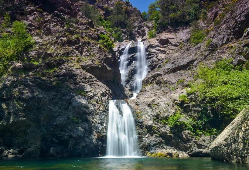 My House Urban Luxury B&b