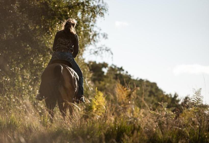 My House Urban Luxury B&b