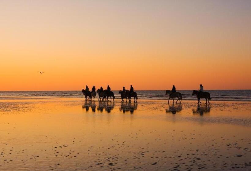 My House Urban Luxury B&b