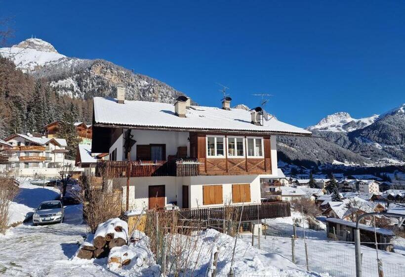 膳宿费 Cèsa Cherpei   Dog Friendly