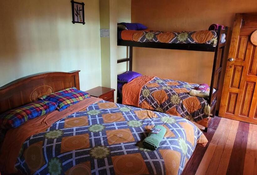 호스텔 La Minga Hostal