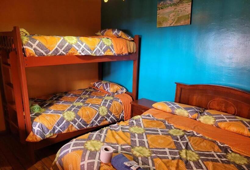 호스텔 La Minga Hostal