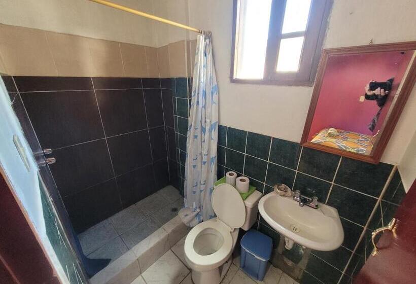 호스텔 La Minga Hostal