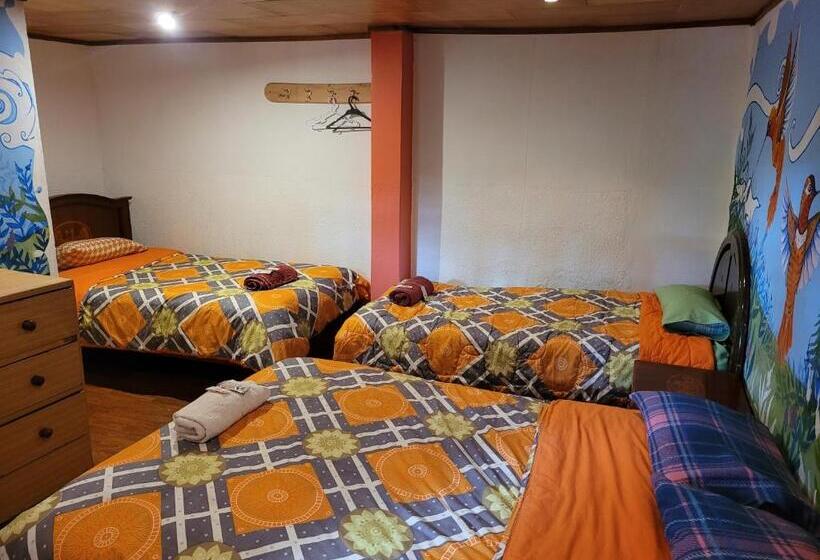 호스텔 La Minga Hostal