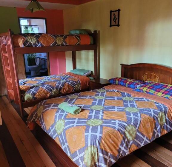 호스텔 La Minga Hostal