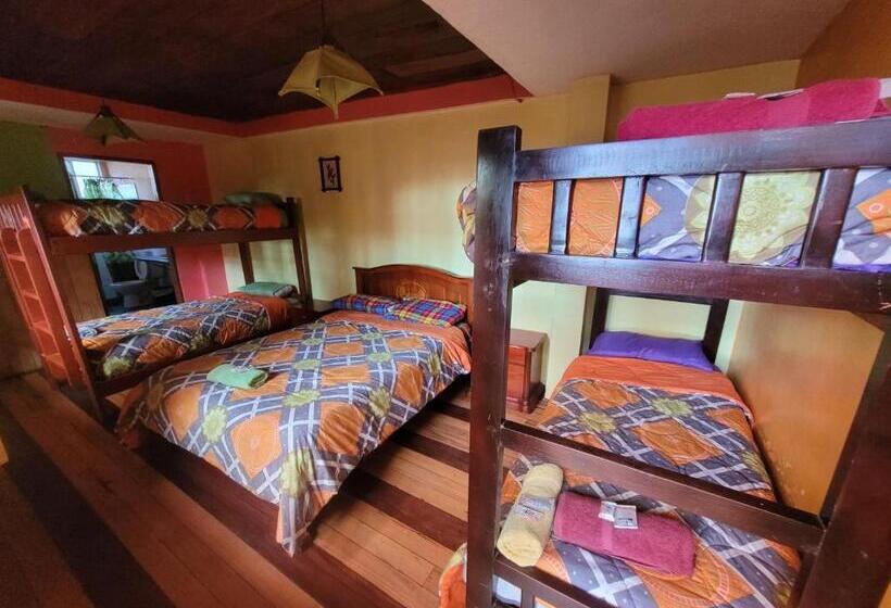 호스텔 La Minga Hostal