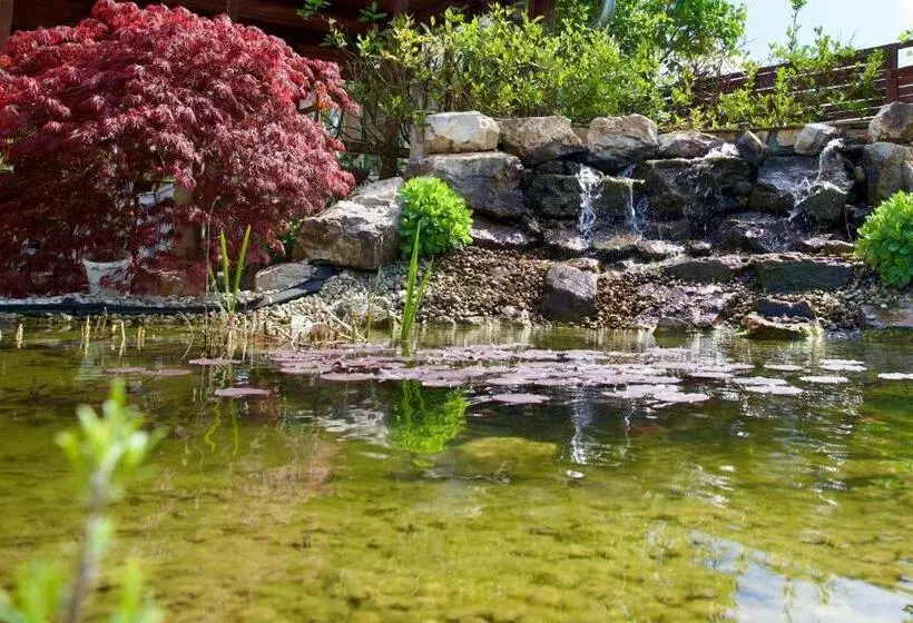 ベッドアンドブレックファースト Jade Panzio