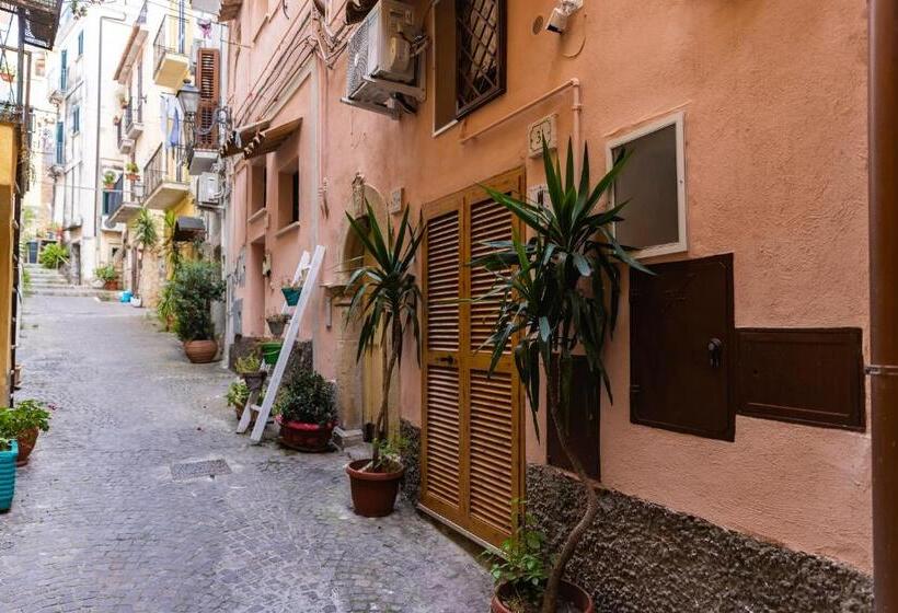 住宿加早餐  La Torre 31