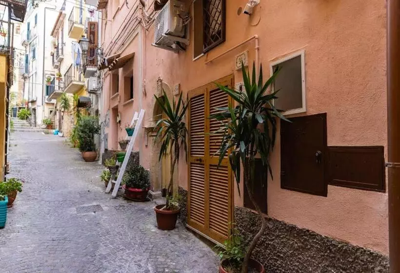 تختخواب و صبحانه La Torre 31