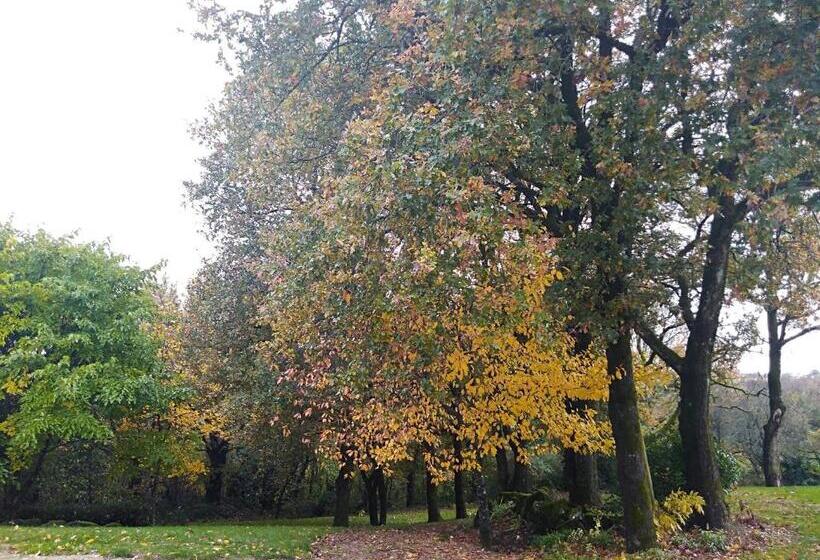 ベッドアンドブレックファースト Les Trois Geais