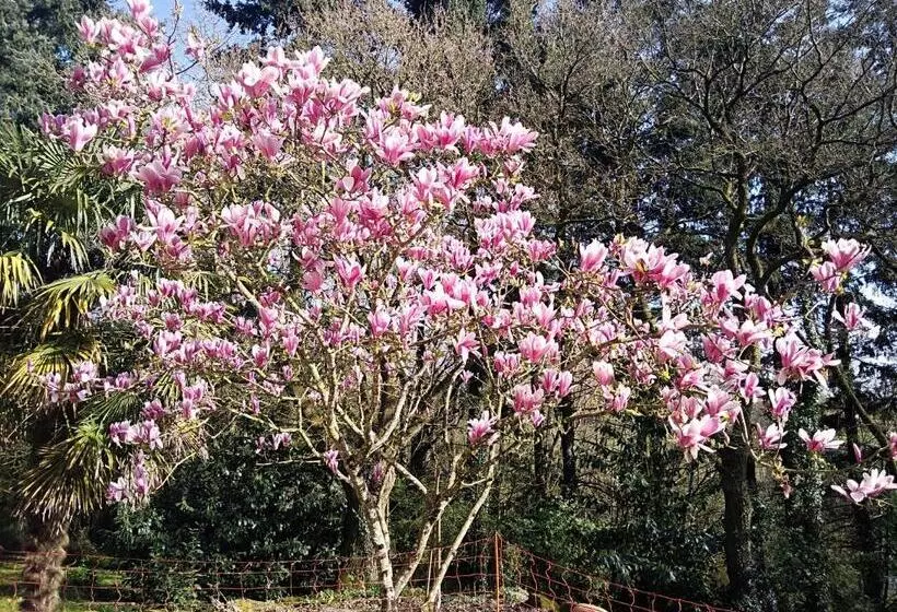 Aamiaismajoitus (B&B) Les Trois Geais